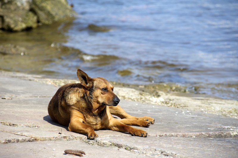 Miroslava Miroslavochka ~ angel ~ | Ростов-на-Дону