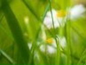 Юська Смышникова | Киев (деревня)