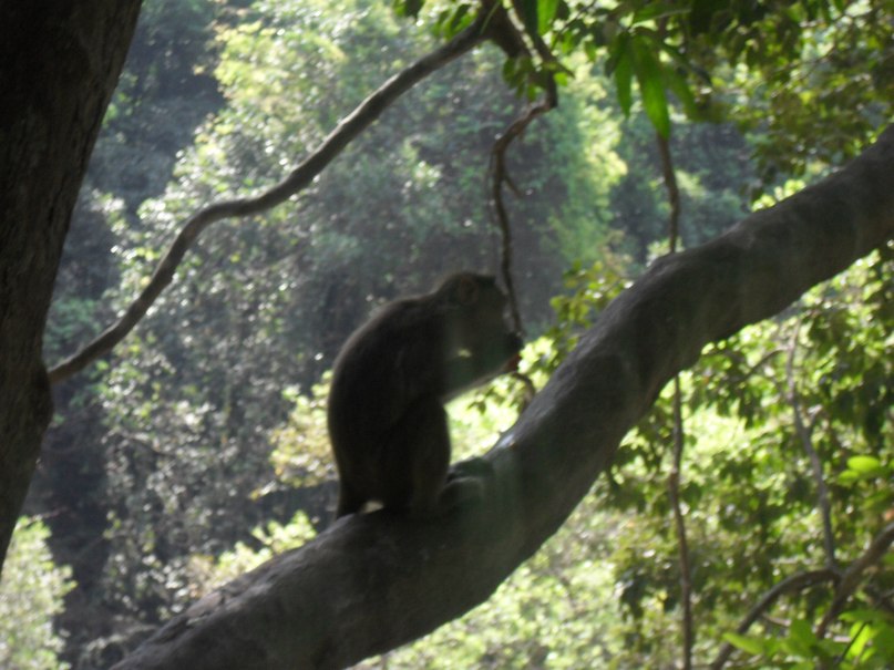 Алла Корнева | Нижний Новгород