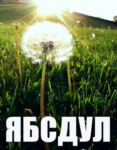 №43, Арсений Клаз, Москва №43, Арсений Клаз, Москва