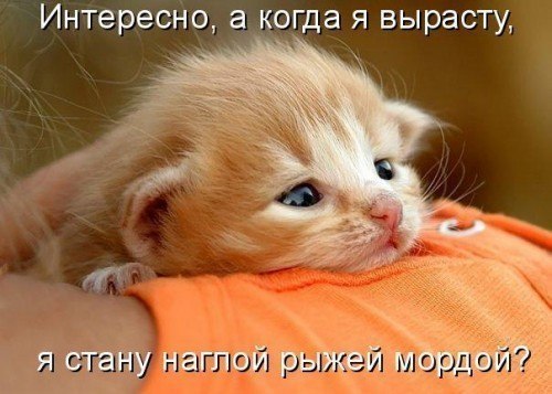 Евгения Гри | 