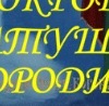 №40, Анатолий Шевченко, Красноперекопск №40, Анатолий Шевченко, Красноперекопск