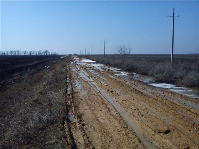 Александр Германчук Zest | Николаев