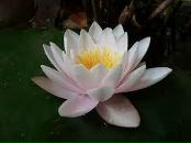 №24 Ирина Саламатина 12.10: профиль, фото, статус - ВКонтакте