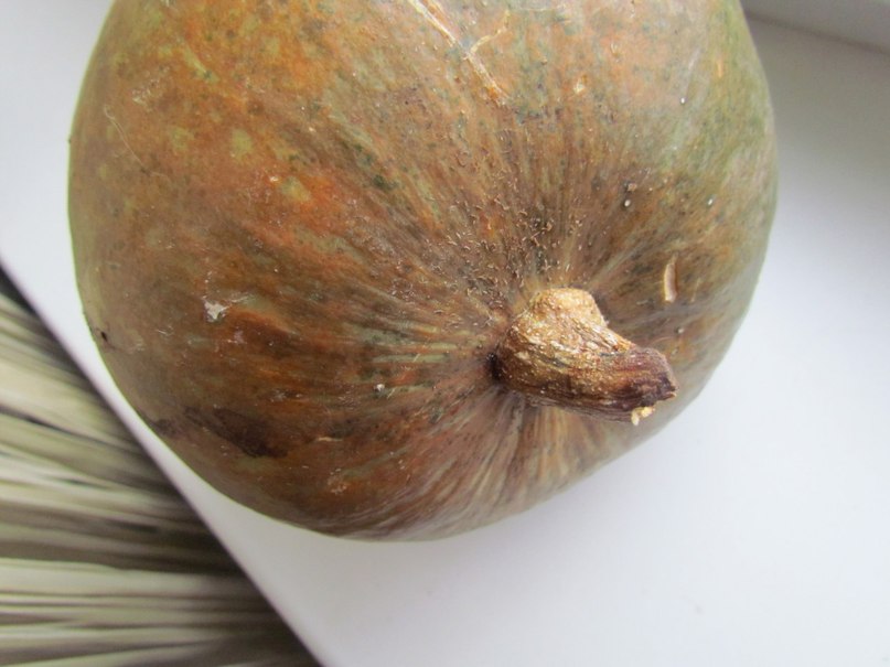 Валерия Дашут ܓ | Москва