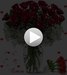 Наталья Кириллова фотография #50