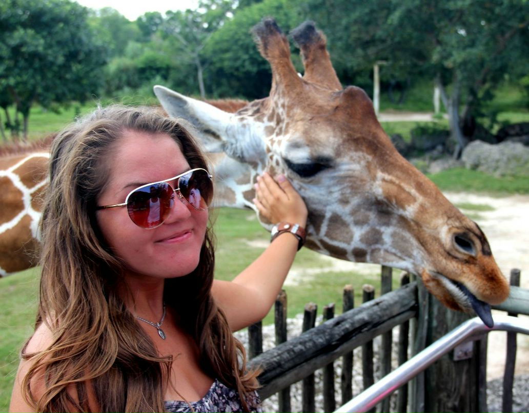 Tasha Chocolate ✈ | 