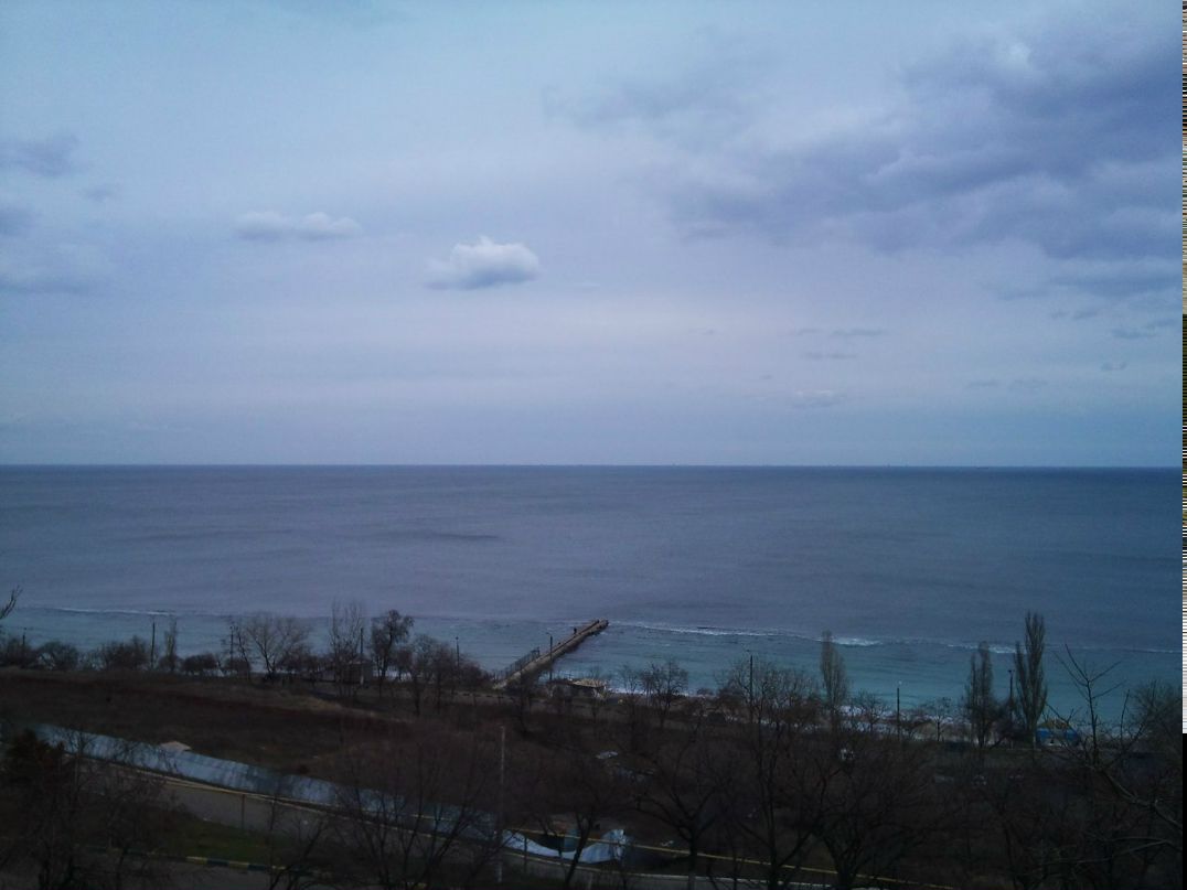 Вадим Логвиненко Wittmann | Одесса