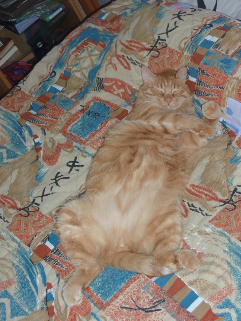 Дарья Прохорова | Санкт-Петербург