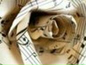 Екатерина Ортюкова | 