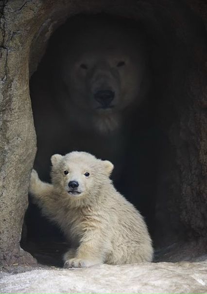 №59, Дилявер Алимов, 41 год, Бахчисарай №59, Дилявер Алимов, 41 год, Бахчисарай