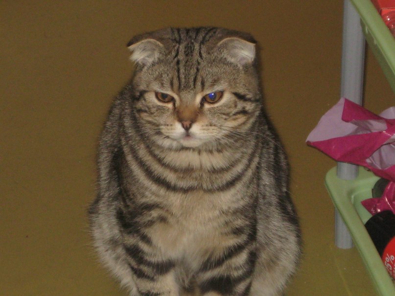 Андрей Верин | Советский