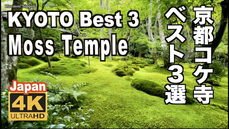4 K 京都の庭園 苔寺 ベスト3 Kyoto moss temples gardens コケ寺 西芳寺 三千院 祇王寺