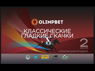 КЛАССИЧЕСКИЕ ГЛАДКИЕ СКАЧКИ