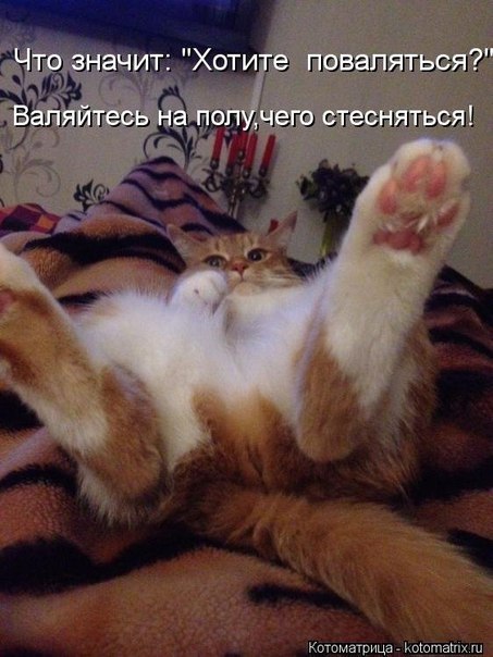 Что означает стесняться. Что означает стесняться. Советы для стеснительный людей. Как перестать стеснятьс. Что означает стесняться.