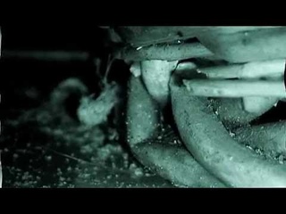 dreDDup - When Dead Comes Home (2010)