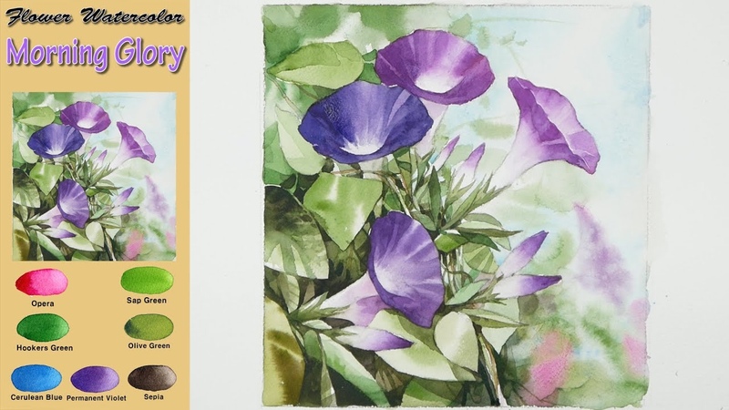 Morning Glory Drawing Flower Landscape Watercolor (wet in wet. Fabriano rough) NAMIL