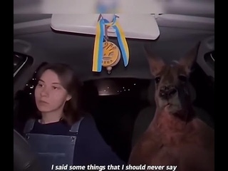 kangaroo friend jumps into the car