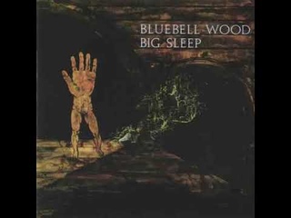 Big Sleep __ Bluebell Wood 1971 Full Album