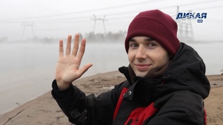 Рыбы-пришельцы озера Удомля. Моя рыбалка. Рыбий жир