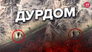 Розривне відео / Окупанти СПОЗОРИЛИСЬ і насмішили ЗСУ