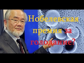 Нобелевская премия за голодание. Ёсинори Осуми