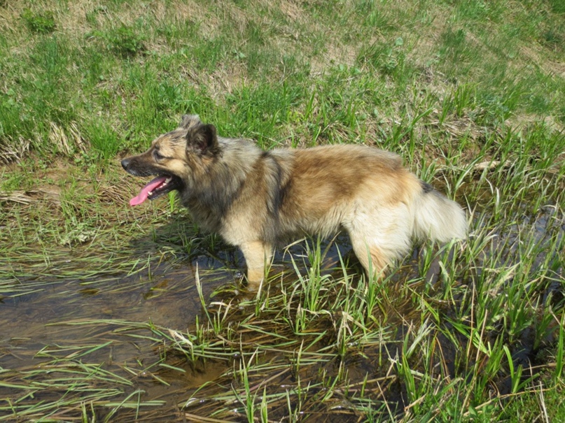 Татьяна Степанищева | Молодечно