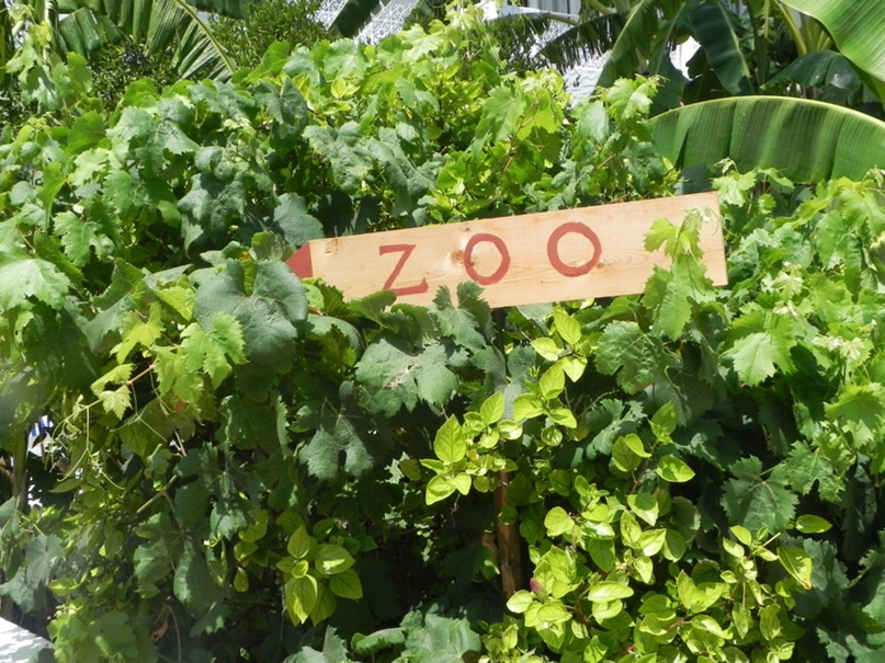 Екатерина Загребина | Ижевск