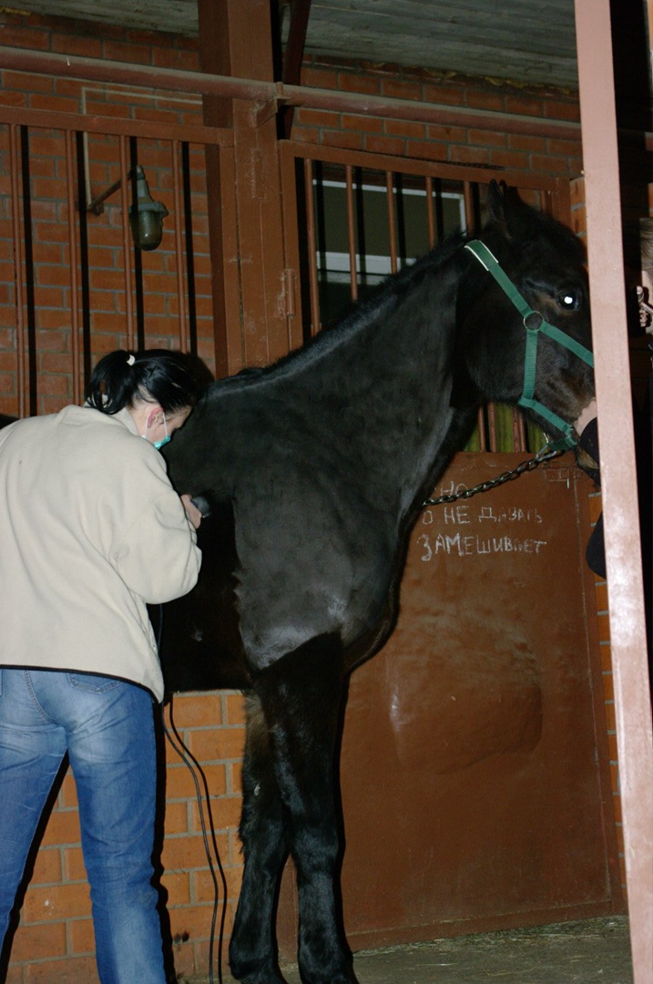 Юля Ходякова | Москва