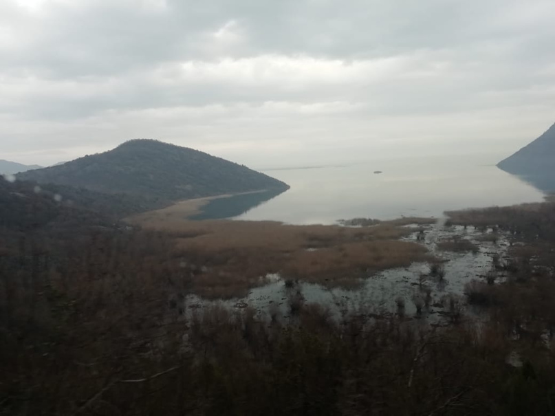 Оля Митина | Калуга