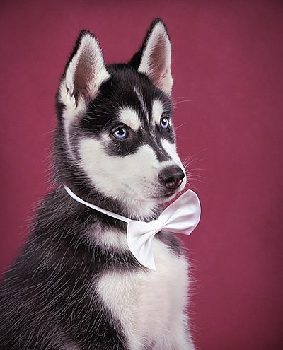 Женя Радченко | Киев