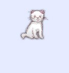 Валерия Николаева | Чапаевск