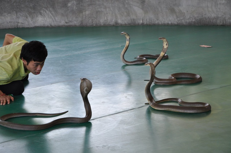 Илья Петров }l{yЛиK | Санкт-Петербург