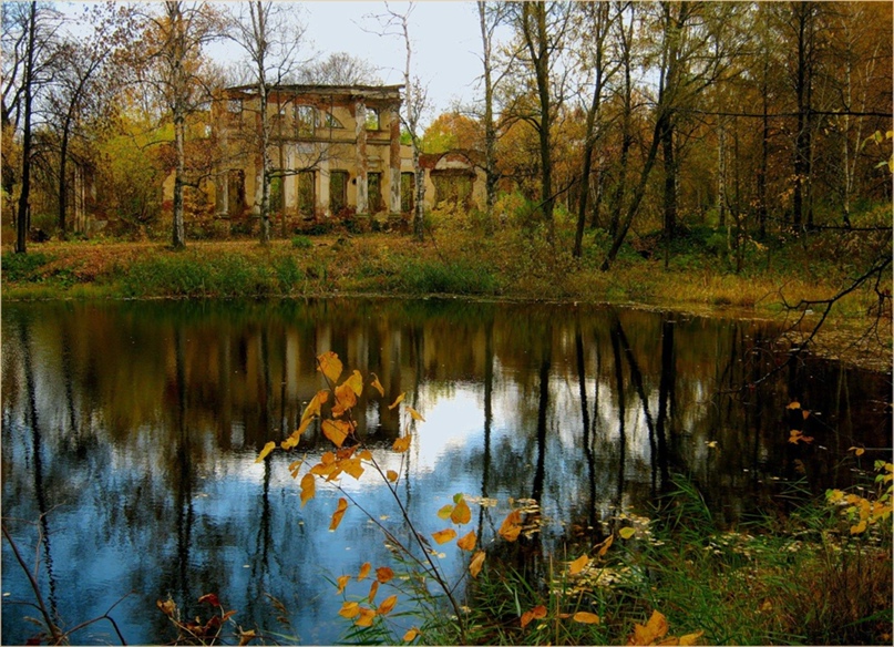 Крохинский лесопарк ярославль крохинский лесопарк фото Крохинский лесопарк ярославль крохинский лесопарк фото