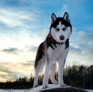 Елена Репина | Мытищи