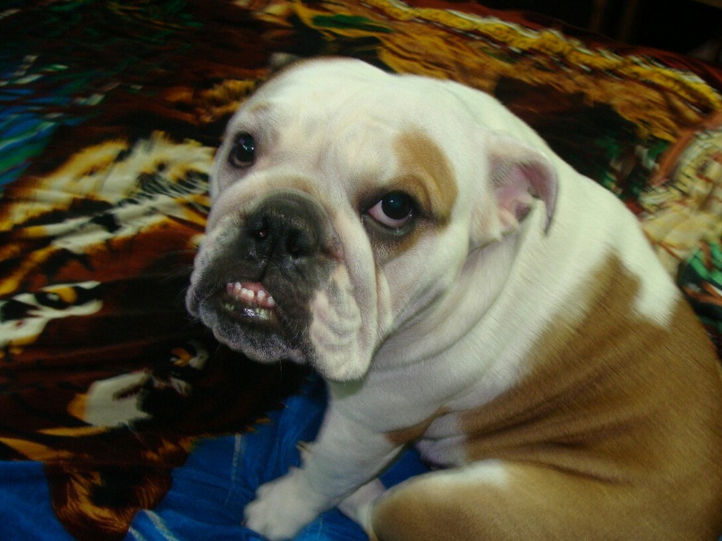 Сергей Алешин | Санкт-Петербург