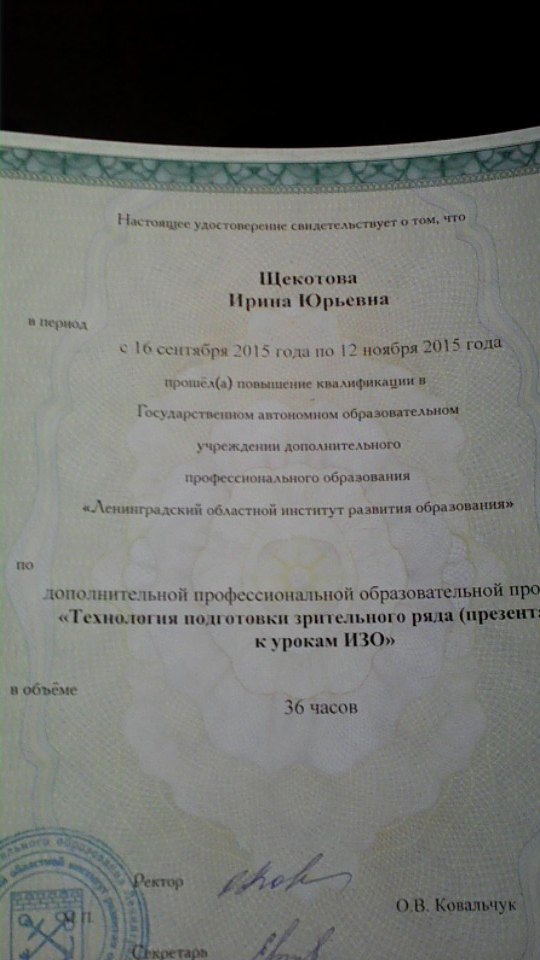 Ирина Щёкотова |