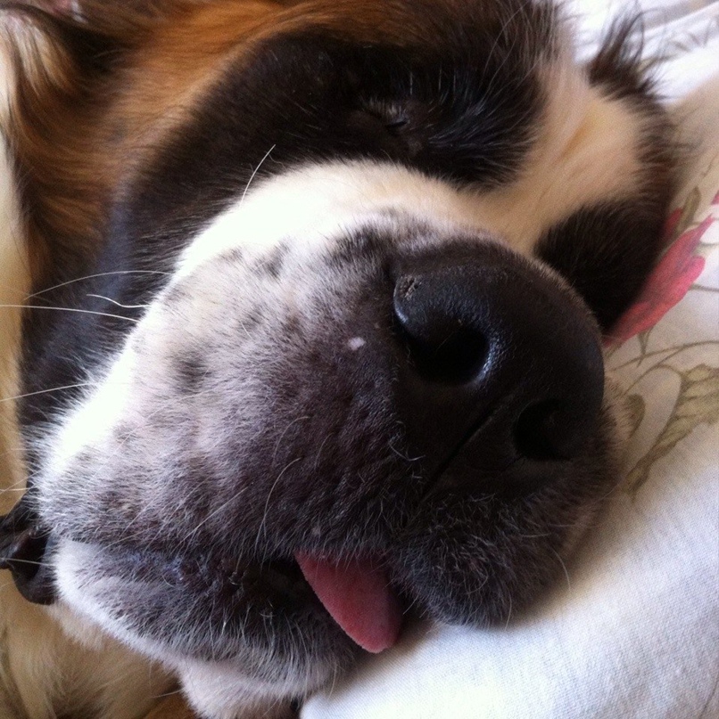 Влад Белов | Казань