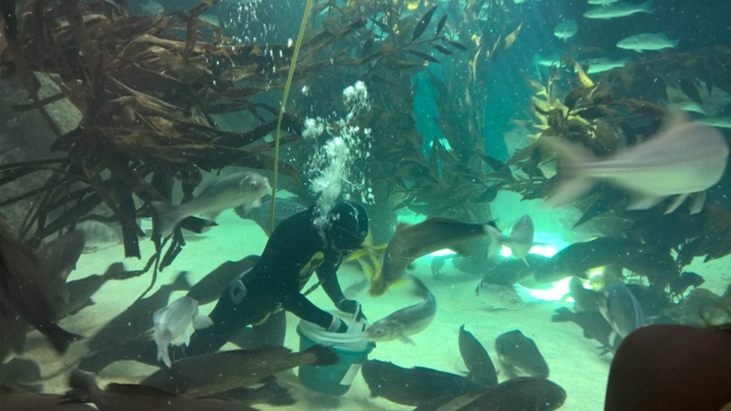 Лёха Палаткин | Калининград