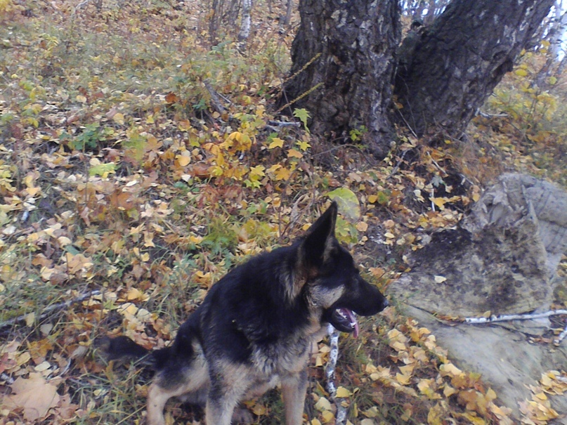 Ильшат Валиев | Kingston