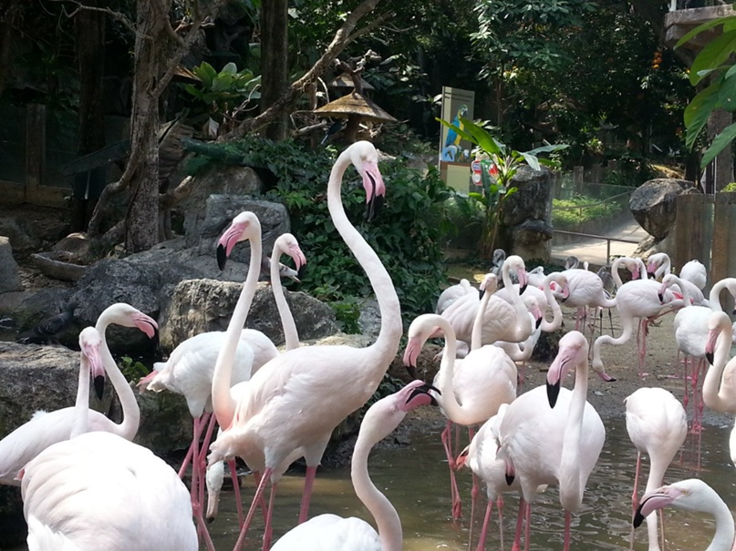 Мария Никифорова | Москва