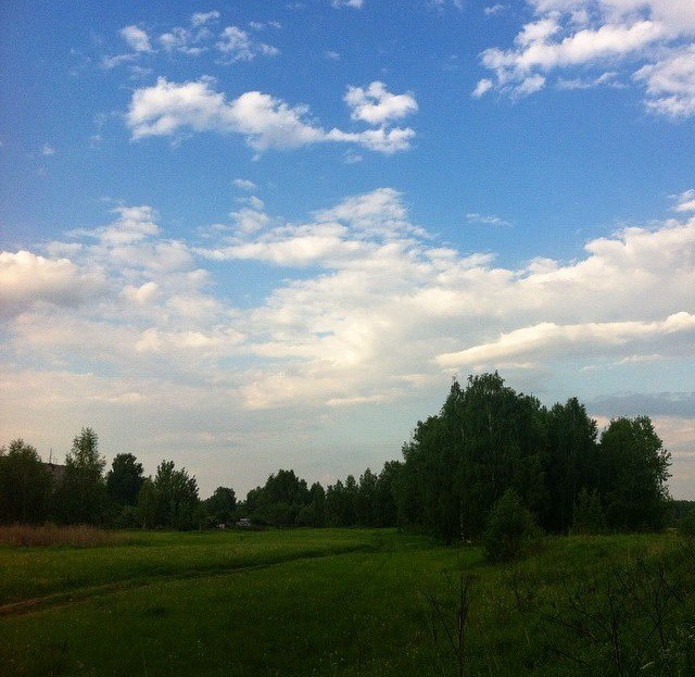 Мария Ваймер | Лосино-Петровский