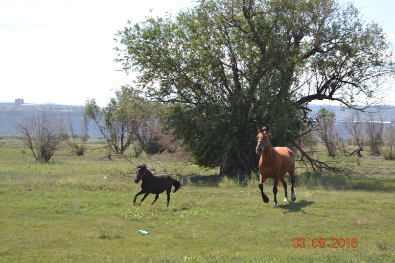 Марина Манзырева | Улан-Удэ