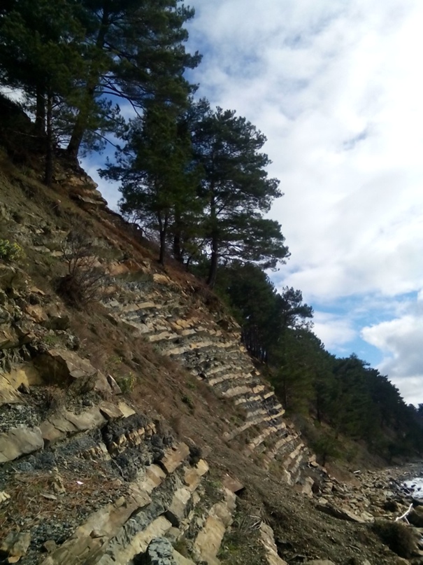 Олег Терещенко | Орск