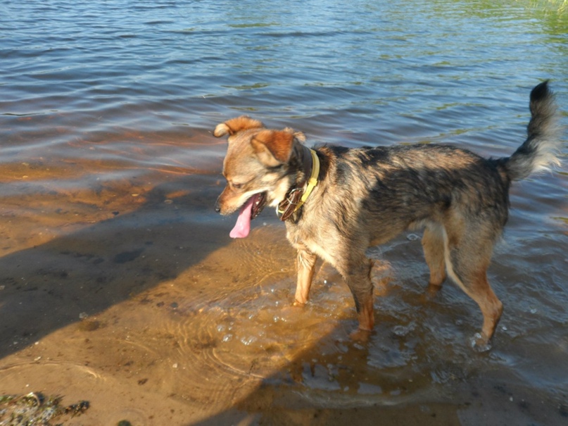 Анастасия Мюллер | Дзержинск