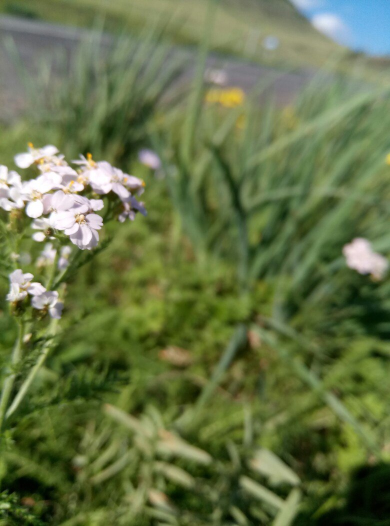 Дмитрий Сапунов | Красноярск