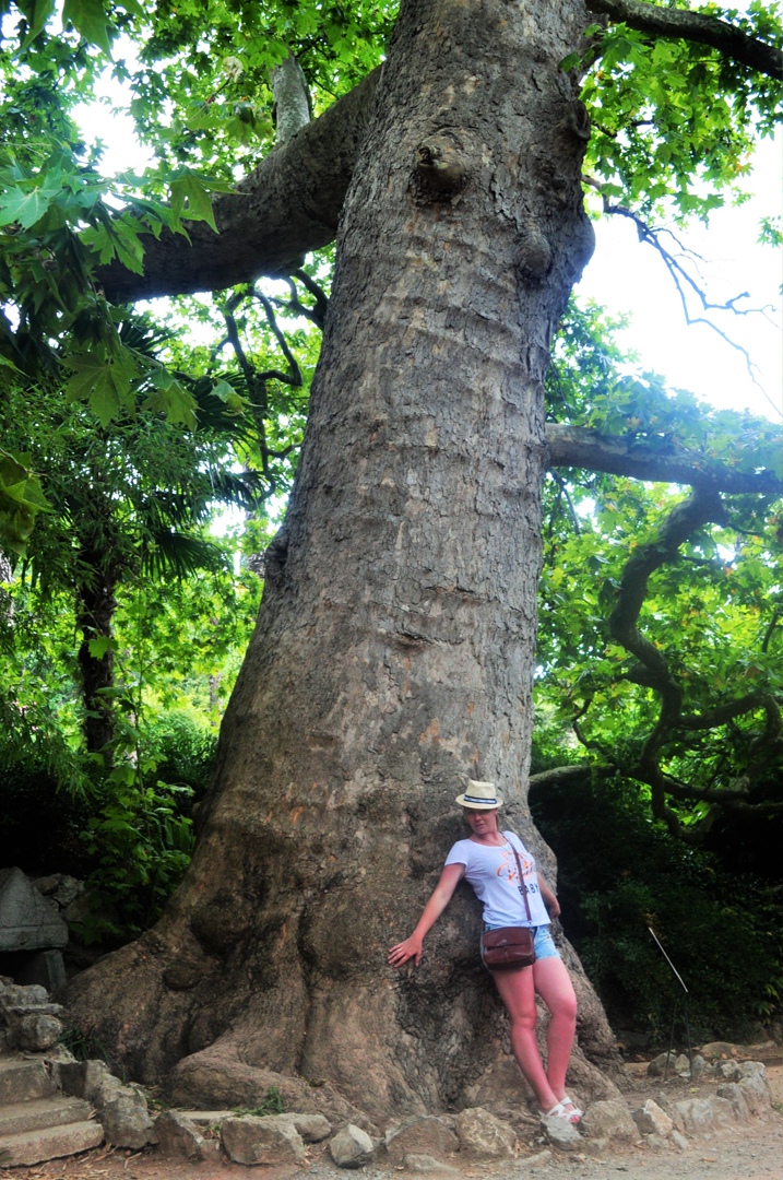 Ольга Курова | Гатчина