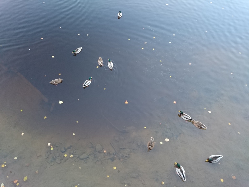 Паша Григорьев | Рязань