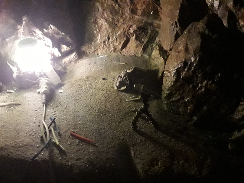 Дмитрий Зайцев .ı.lı.ıllı.l | Санкт-Петербург