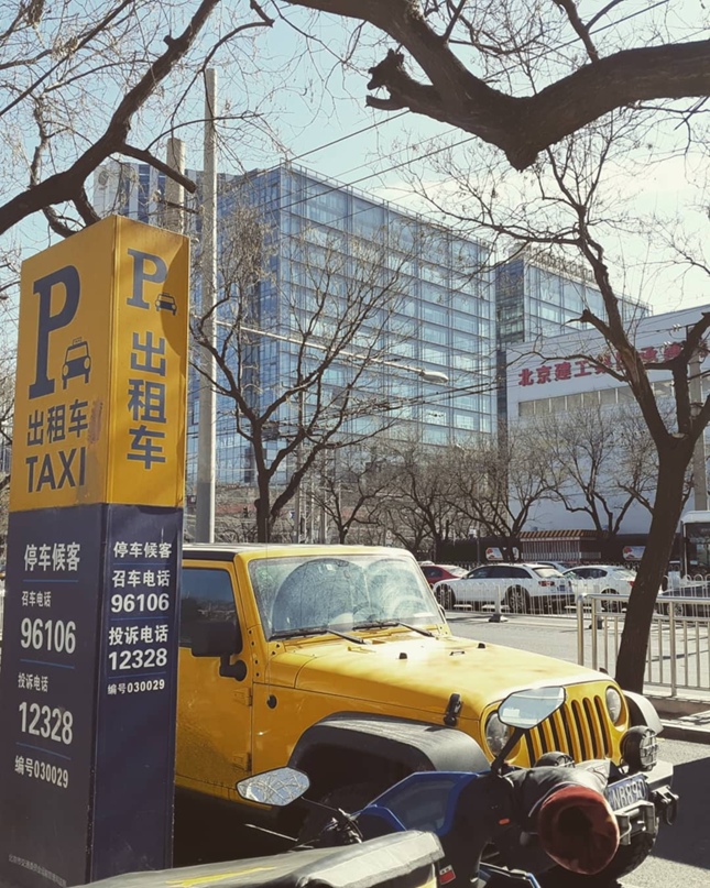 Анастасия Голубцова Викторовна | Жигулевск